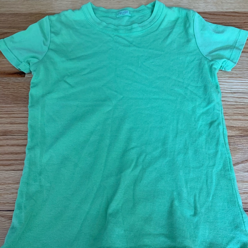 Brandy Melville green crop top T